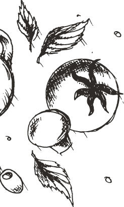 shape